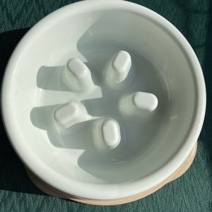 Slow feeder dog bowl